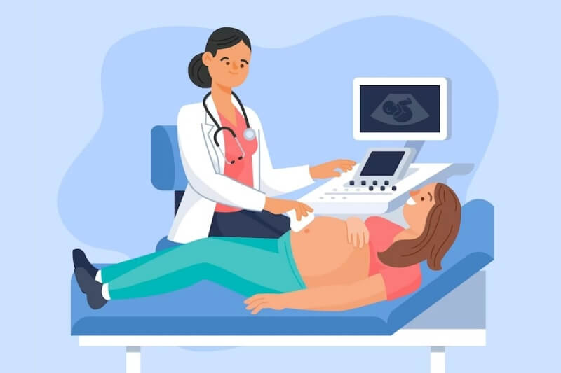 임산부의 초음파 검사를 하는 의사 일러스트